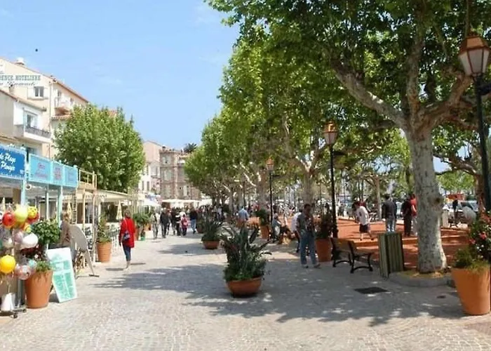 T2 Avec Terrasse Au Centre Du Lavandou - Fr-1-251-882 Apartmán