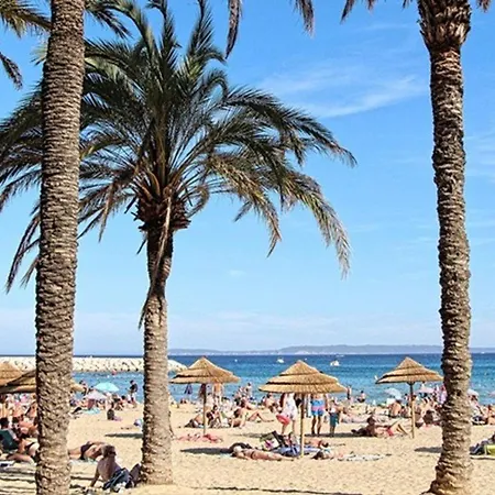 Apartament T2 Avec Terrasse Au Centre Du Lavandou