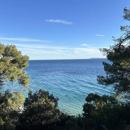 T2 Avec Terrasse Au Centre Du Lavandou - Fr-1-251-882