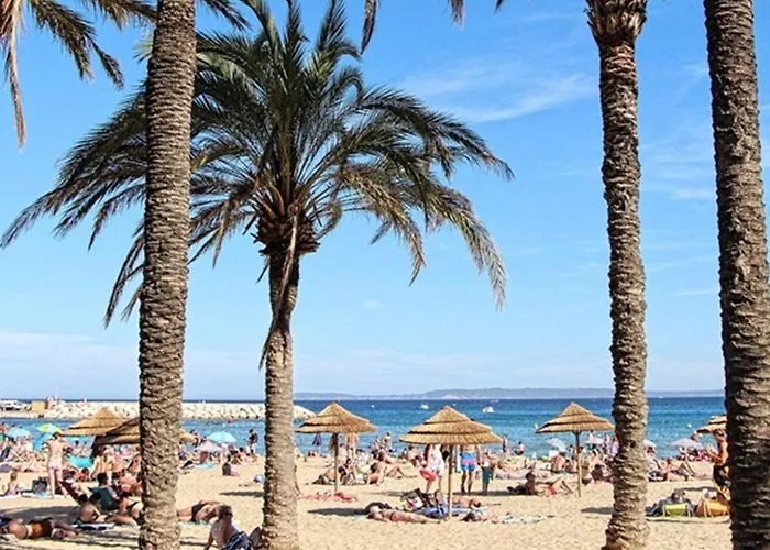 Apartment T2 Avec Terrasse Au Centre Du Lavandou - Fr-1-251-882