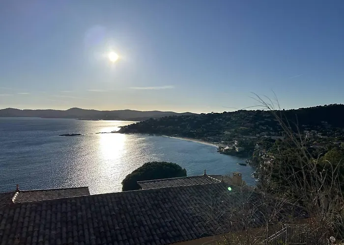 T2 Avec Terrasse Au Centre Du Lavandou - Fr-1-251-882 Apartment Le Lavandou